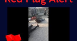 Lemkin Institute: Red Alert for Genocide against Alawites in Syria