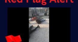 Lemkin Institut: Alarmstufe Rot für Völkermord an Alawiten in Syrien